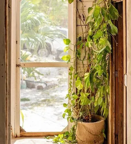 Holiday home Rancho Pepo - Sian Ka'an Biosphere House Tulum
